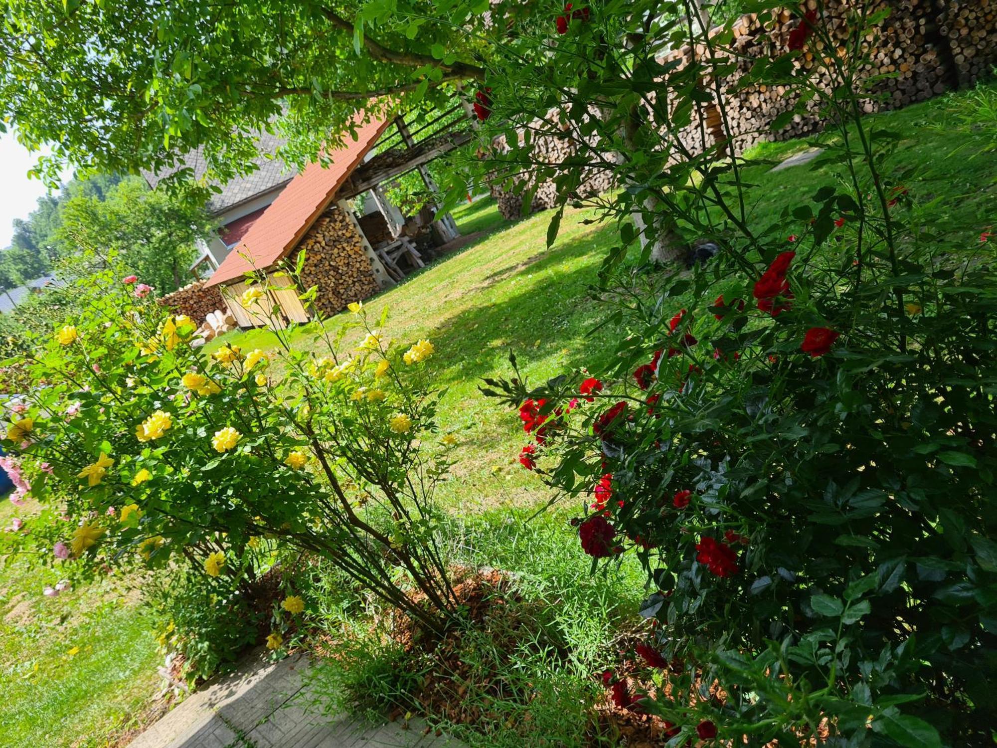 Gostilna Batist Bed & Breakfast Bohinjska Bela Bagian luar foto